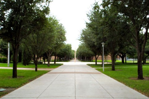 The University of Texas-Pan American