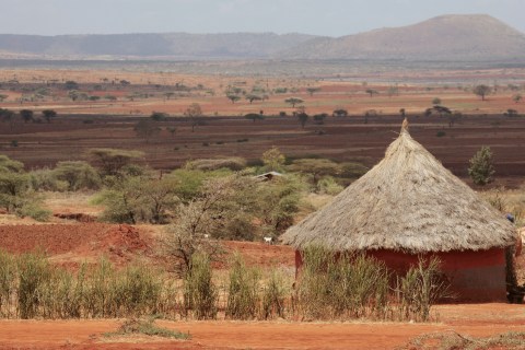 Kenyan hut