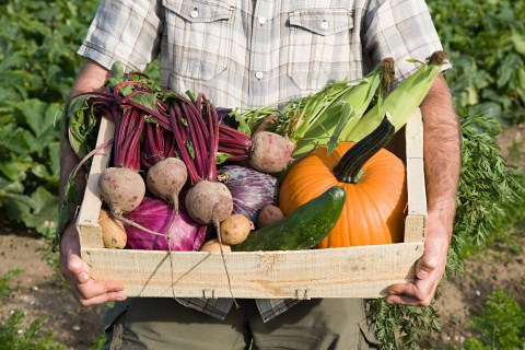 Man holding vegetables 