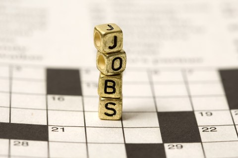 Jobs, employment puzzle
