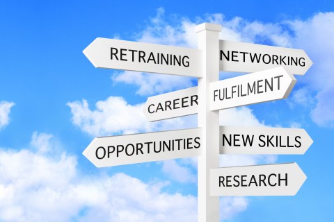 Career path job search