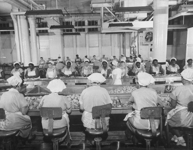 Women working on the production line at the Cambell's Soup plant in Camden, N. J. in 1956.