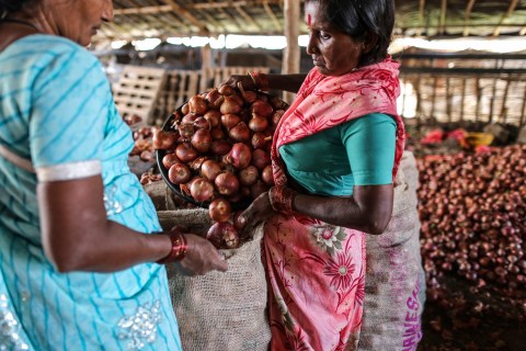 Inside An Onion Storehouse As India Prepares To Import Onions As Prices Surge